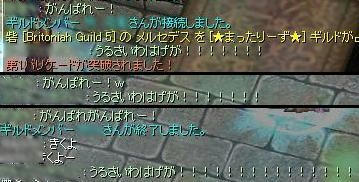ss393.JPG