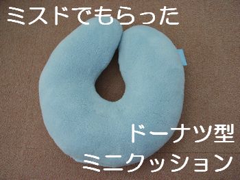 強引にクッションにしてます