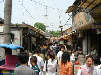 DSC00257.JPG