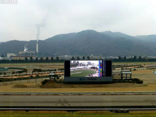 ターフビジョンとその前の築山？