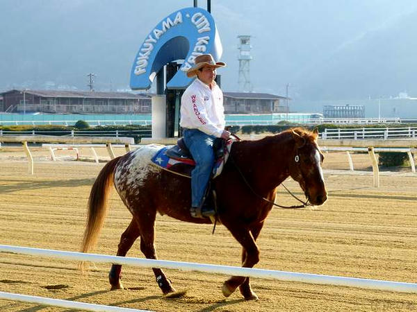 後半戦のみ誘導馬が