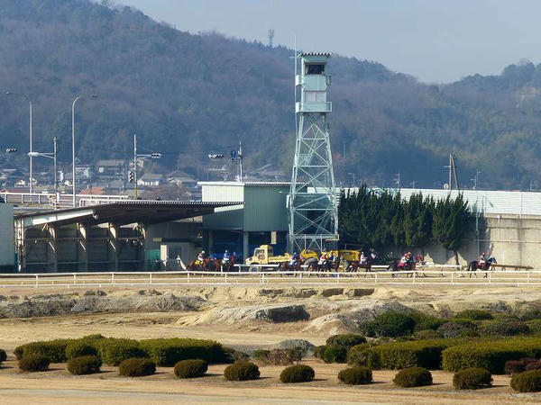待機所からスタート地点へと向かう競走馬
