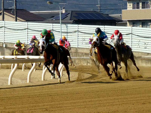 第2Rで3,4角を回る競走馬