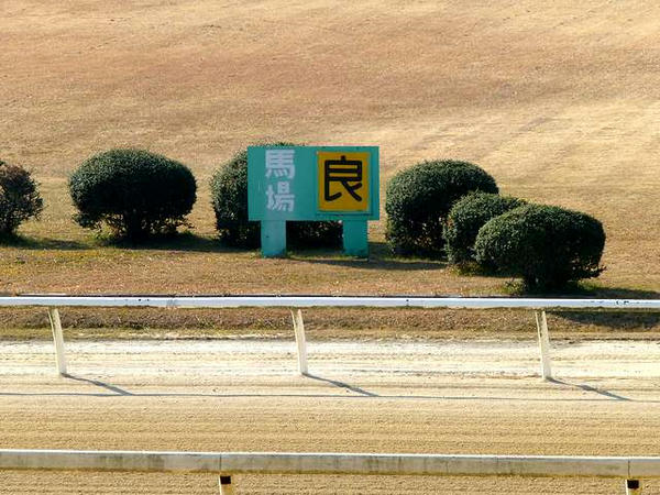 馬場状態の看板