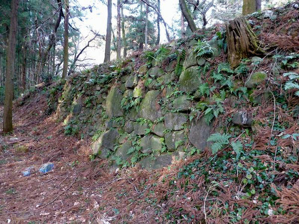 三の丸の石垣