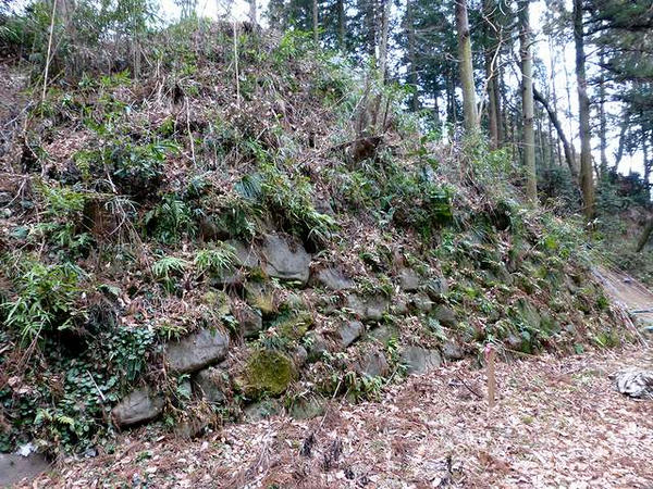 堀の底にある石垣