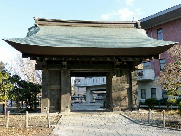 薬医門