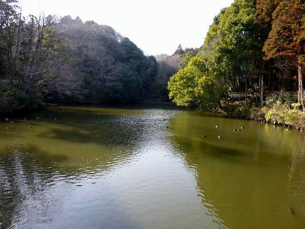 不老沢跡