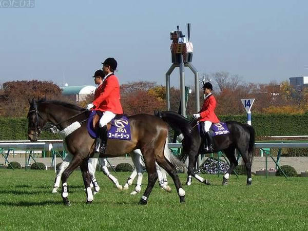 スーパージーン号他、出張してきた新潟競馬場の誘導馬