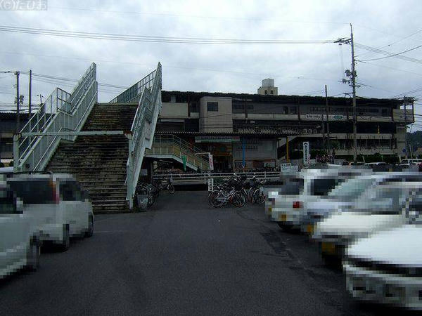 競馬場から道路を挟んで向かい側の駐車場から