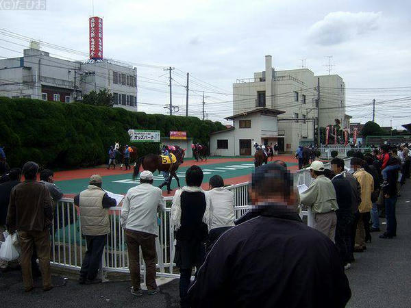 パドック