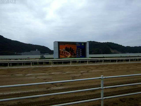 直線走路とわくわくビジョン