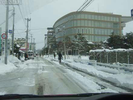 雪の福島競馬場