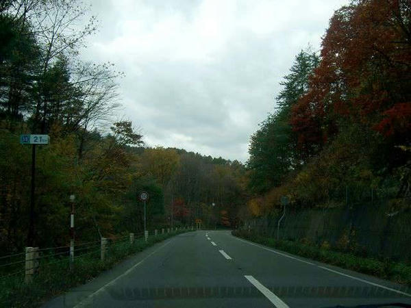 社台スタリオンステーションに向かう途中の一般道