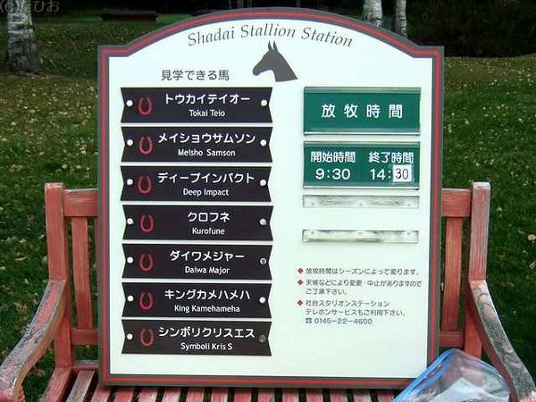見学出来るお馬さん一覧