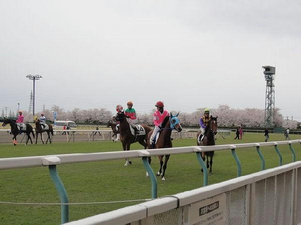 桜と競走馬