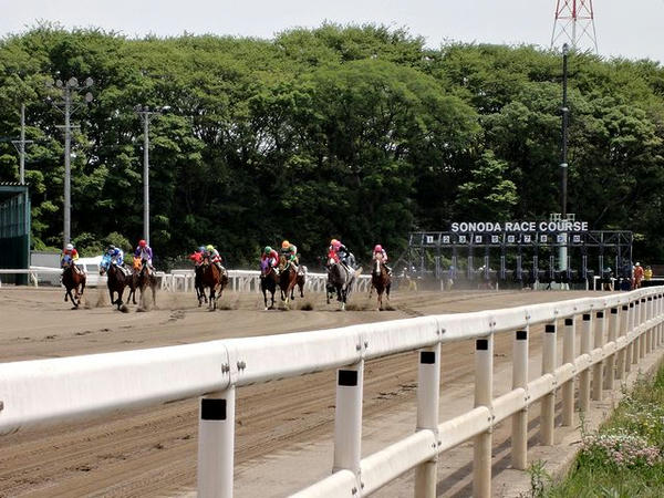 1400m競争のスタート直後