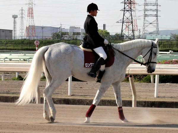 誘導馬ロングマリーン号