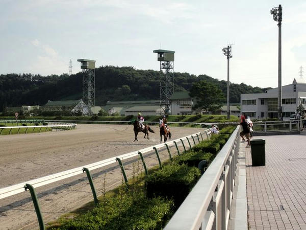 入場する競走馬