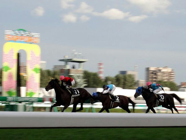 最終レースのゴール！