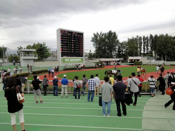 札幌競馬場のパドック