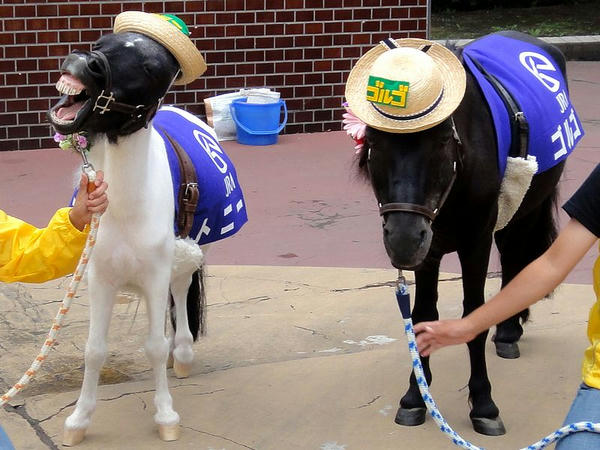 入口ではポニーがお出迎え