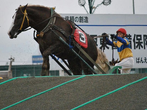 勝負所の第2障害を越えるばん馬