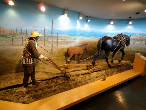 馬の資料館展示物(3)