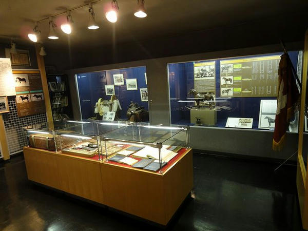 馬の資料館展示物(4)