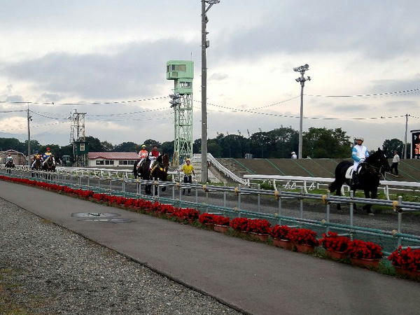 スタート地点に移動する競走馬
