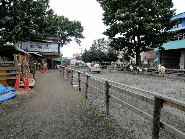 ふれあい動物園