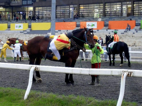 大河原ジョッキーが競走馬に跨るところ(1)