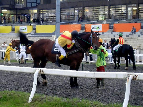 大河原ジョッキーが競走馬に跨るところ(2)