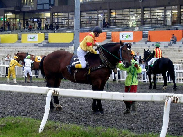 大河原ジョッキーが競走馬に跨るところ(3)