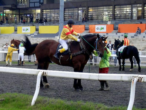 大河原ジョッキーが競走馬に跨るところ(4)