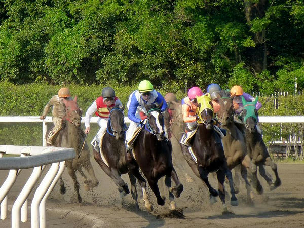 4角をまわる競走馬