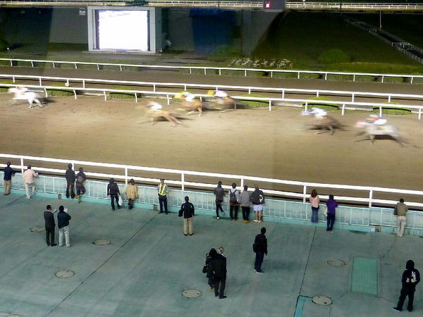 指定席から見た夜の正面走路