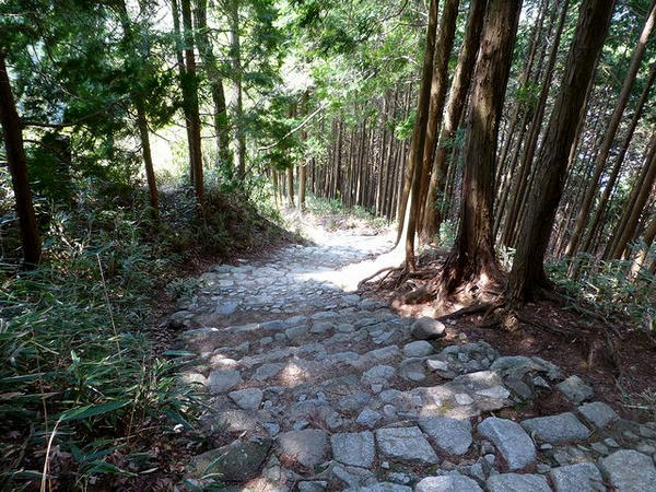 表参道を下る