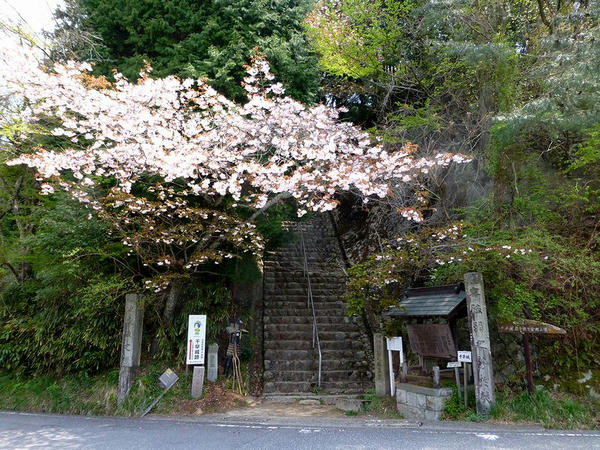 表参道入り口