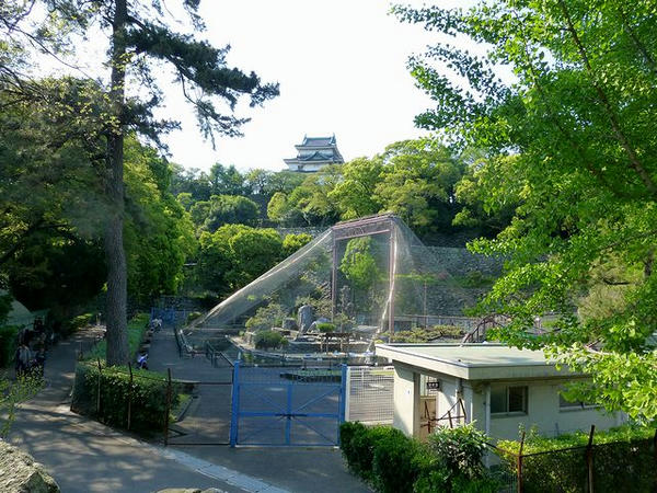 動物園