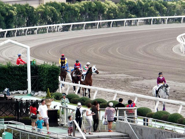 本馬場入場
