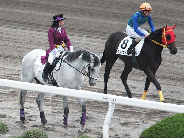 誘導馬に跨がるお姉さん