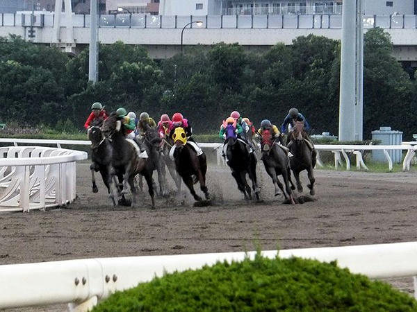 4角を回る競走馬