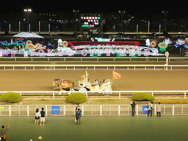 イルミネーションとスタークルージング