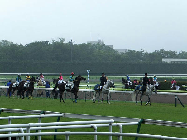 雨の本馬場入場