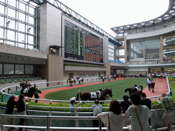 雨のパドック