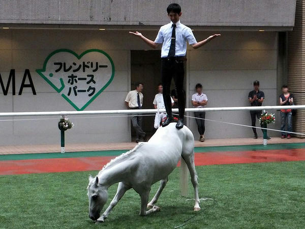 なんとその上に立ちました！