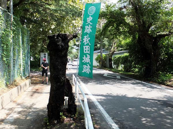 史跡 秋田城跡の幟旗