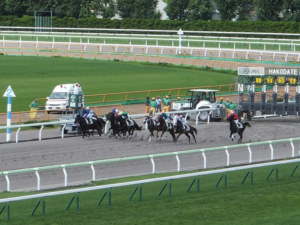 函館競馬場訪問記 【平成25年8月25日・キーンランドカップ（G3