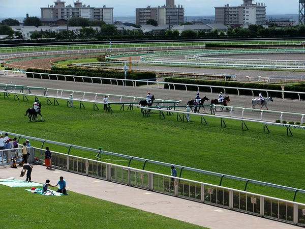 1Rの馬場入り